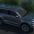 Popular Photo Spot With Shiny Gray SUV And Lush Green Trees