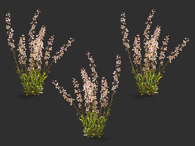 Modern Flowers 3d model Modern Flowers 3d model