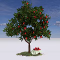 Lush Fruit Arbor Bearing Red Fruits With Basket Under Blue Sky And White Clouds