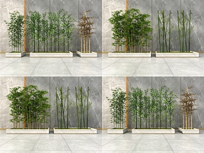 Modern bamboo 3d model