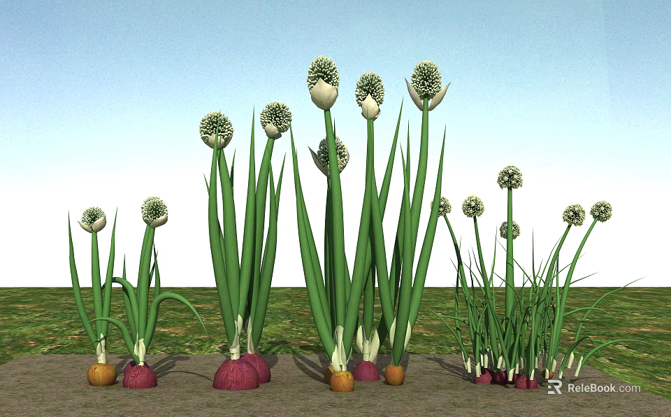 Fresh Onions With Green Stems And Red Yellow Bulbs Growing In Garden 3d model 
