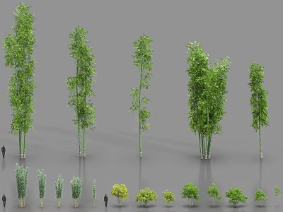 Diverse Bamboo Plants In Various Heights And Green Leafy Foliage 3d model