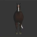 3D Model Of Brown Horse With White Mane On Black Background And Reflection 3d model