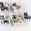 Six Various Breed Inflatable Dog Models With Transparent Bases And Colorful Features