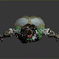 Armored Female Warrior Character With Mythical Creature Inspired Green And White Armor Featuring Feather Accents