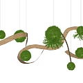 Hanging Indoor Landscape With Curved Light Colored Strips And Round Green Plants