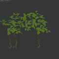 Lush Green Decorative Vines with Twisted Stems and Fresh Leaves