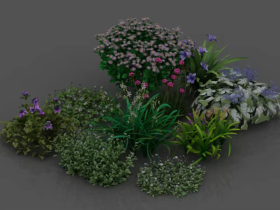 Different Types of Garden Shrubs with Colorful Blooms and Green Foliage 3d model