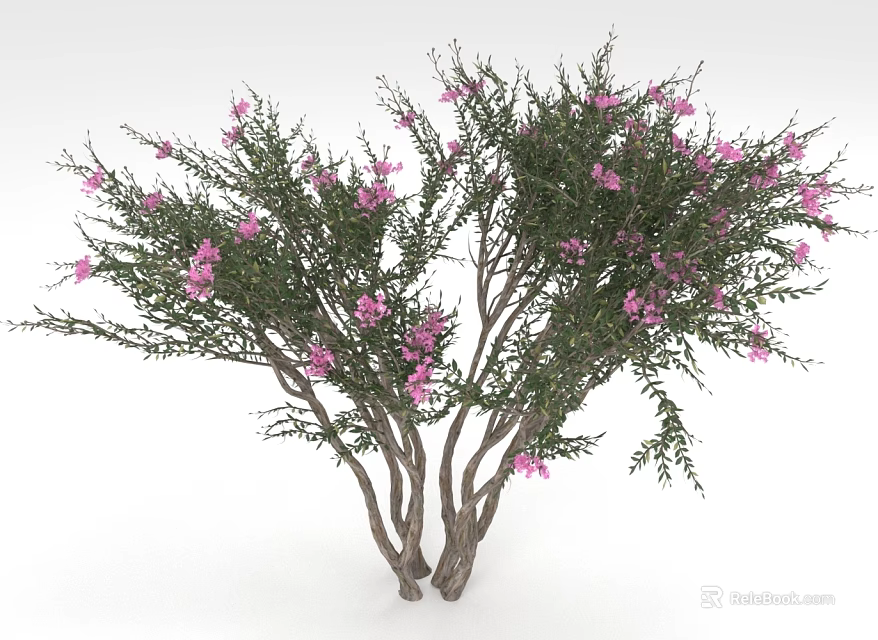 Vibrant Blooming Plant With Multiple Trunks Green Foliage And Pink Flowers 3d model 