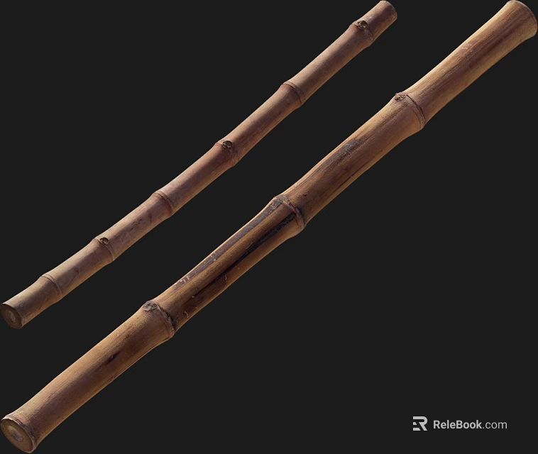 Bamboo Sticks with Natural Nodes and Textured Surface on Dark Background 3d model 