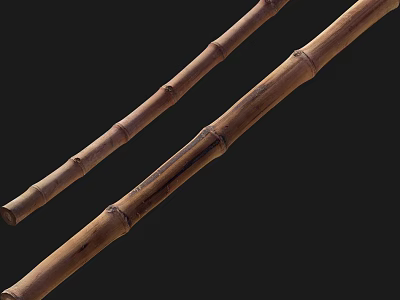 Bamboo Sticks with Natural Nodes and Textured Surface on Dark Background 3d model