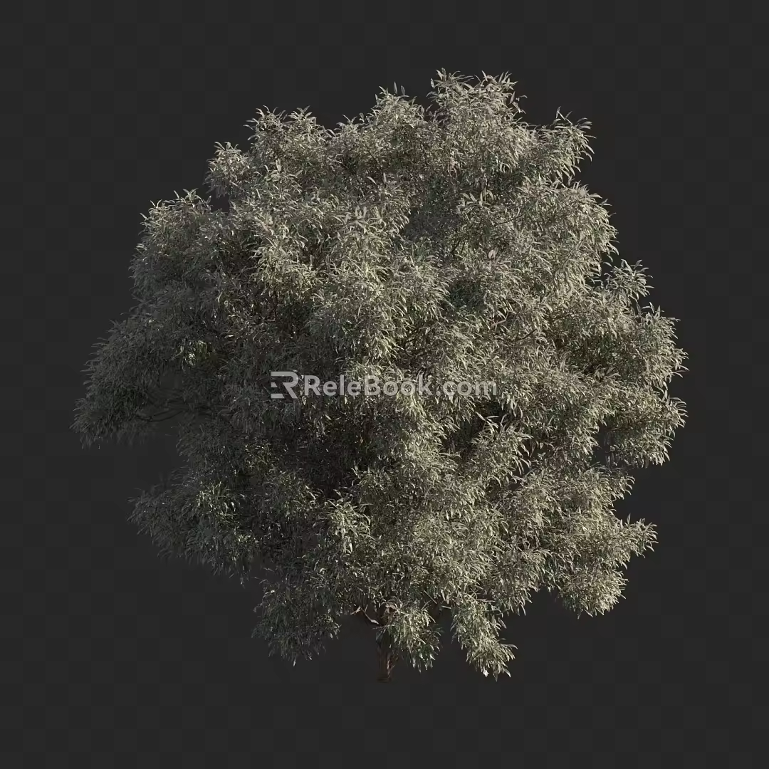 Shrubs 3d model