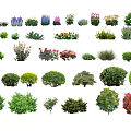Arbor Varieties For Landscape Design Featuring Various Shapes And Colors 3d model