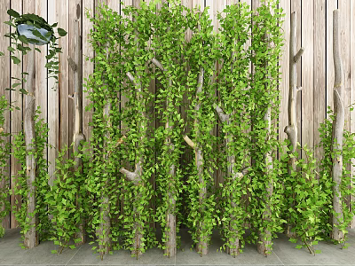 Lush Green Plant Wall Decoration With Wooden Trunks And Fresh Leaves 3d model