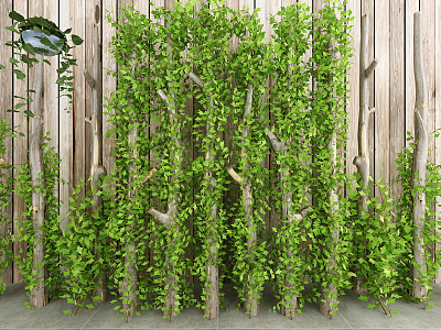 Modern Green Plant Wall Plant Wall model