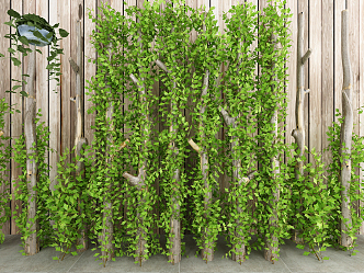 Modern Green Plant Wall Plant Wall 3d model