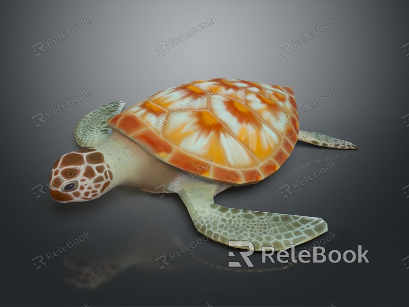 small turtle green turtle big turtle black turtle pacific turtle flat-backed turtle turtle turtle turtle turtle turtle model