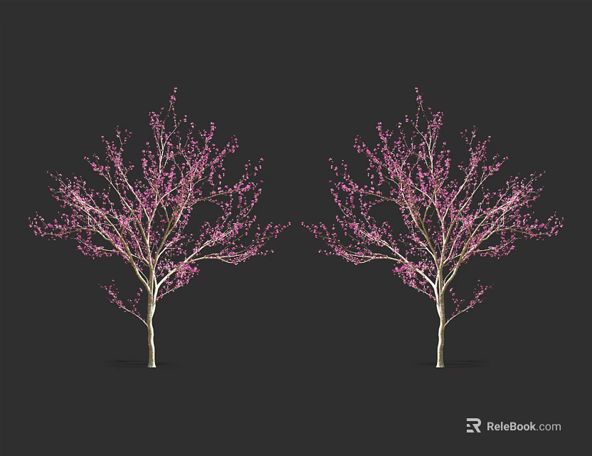 Two Trees with Pink Flowers and Delicate Branches Against Dark Background 3d model 