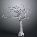 Leafless Dead Tree With Textured Trunk And Spreading Branches On Simple Gray Gradient Background