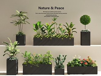 Plant combination Plant pile Outdoor flower box Green plant combination 3d model