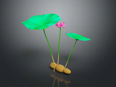 Lotus Plant With Pink Bloom Green Leaves Yellow Roots And Reflection 3d model