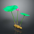 Lotus Plant With Pink Bloom Green Leaves Yellow Roots And Reflection