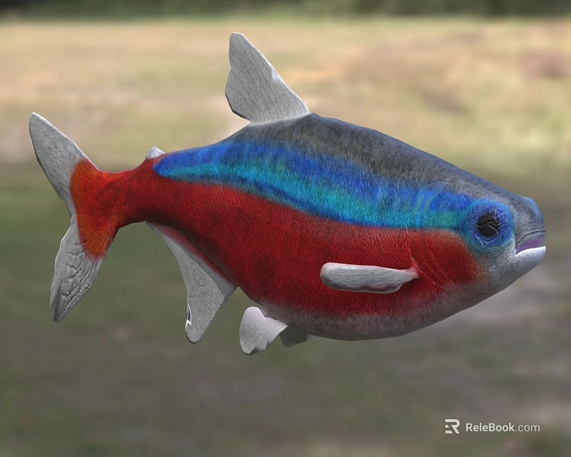 Vibrant Fish With Red Blue Gray Body White Fins Tail Blue Eyes In Natural Setting 3d model 