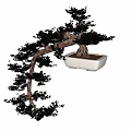 Bonsai Plant With Curved Trunk And Green Foliage In White Square Pot