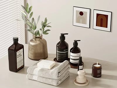 Decorative Ornament Set With Vase Green Plant Bottles Folded Towels Soap Candle And Framed Artworks 3d model