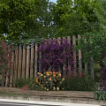 Wooden Pergola Design With Lush Green Trees Purple Flowers And Pink Blooms