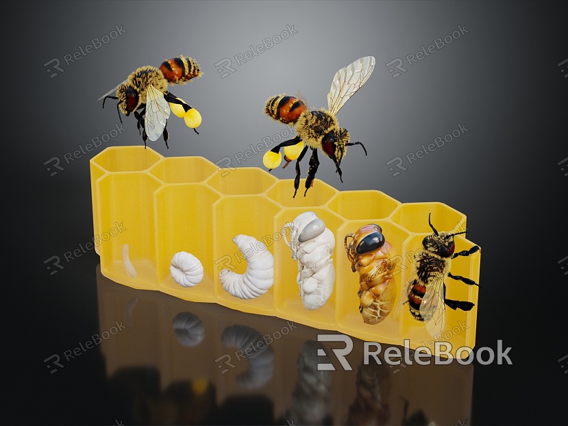 Modern bee hive worker bee pupa Wang Feng model