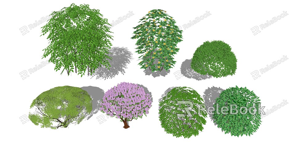 modern shrub shrub spherical plant model