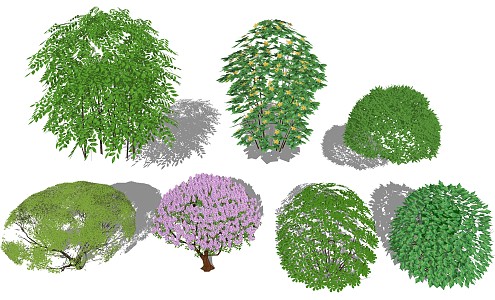 modern shrub spherical plant 3d model