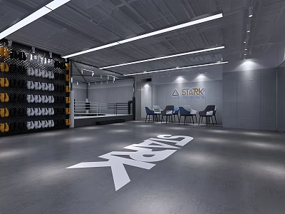 Modern STARK Fitness Gym Interior With Boxing Ring And Equipment Storage Wall 3d model