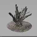 Natural Wooden Stump Decorative Art With Intricate Roots And Soil Grass Base