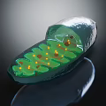Innovative Medical Device Featuring Transparent Shell Green Internal Structure And Yellow Light Spots 3d model