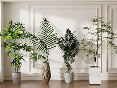 Indoor Potted Plants With Palm Leaves In Decorative Pots Against White Wall 3d model