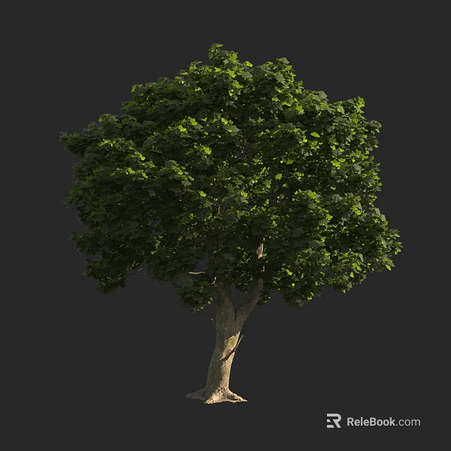Vibrant Lush Arbor With Thick Trunk And Dense Green Foliage For Garden 3d model 