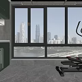Modern Home Balcony with Washing Machine Treadmill and City View Through Large Windows