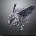 Realistic Detailed Fluffy Bee With Transparent Wings On Dark Background