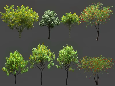 Different Types Of Arbor Trees With Green Yellow Red Leaves And Various Shapes 3d model