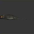 Detailed Gray Spiky Lizard With Yellow Head Orange Eyes And Reflection On Gray Background