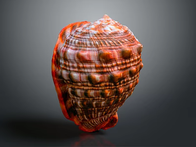 Shell Shaped Decorative Ornament Set With Orange White Striped Textured Design For Home Decor 3d model