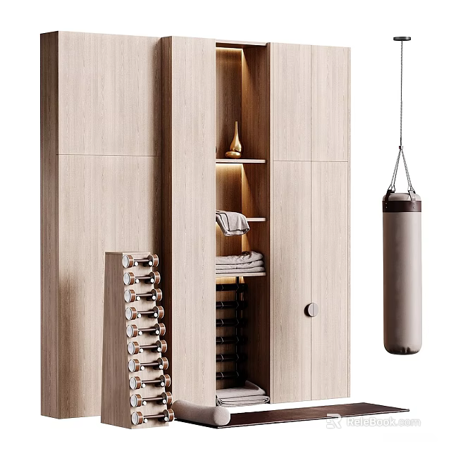 Modern Home Gym Storage For Fitness Equipment With Punching Bag And Dumbbells 3d model 