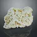 Natural Aquatic Animal Sponge With Porous Surface And Soft Underwater Texture