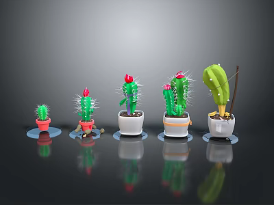 Colorful Potted Cactus Plants Of Various Sizes With Red Blooms And Spines 3d model