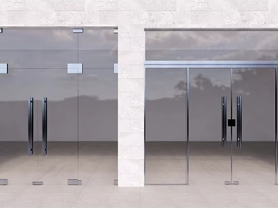 Modern Glass Double Doors With Metal Frame And Sky Tree Reflections 3d model