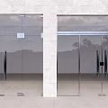 Modern Glass Double Doors With Metal Frame And Sky Tree Reflections