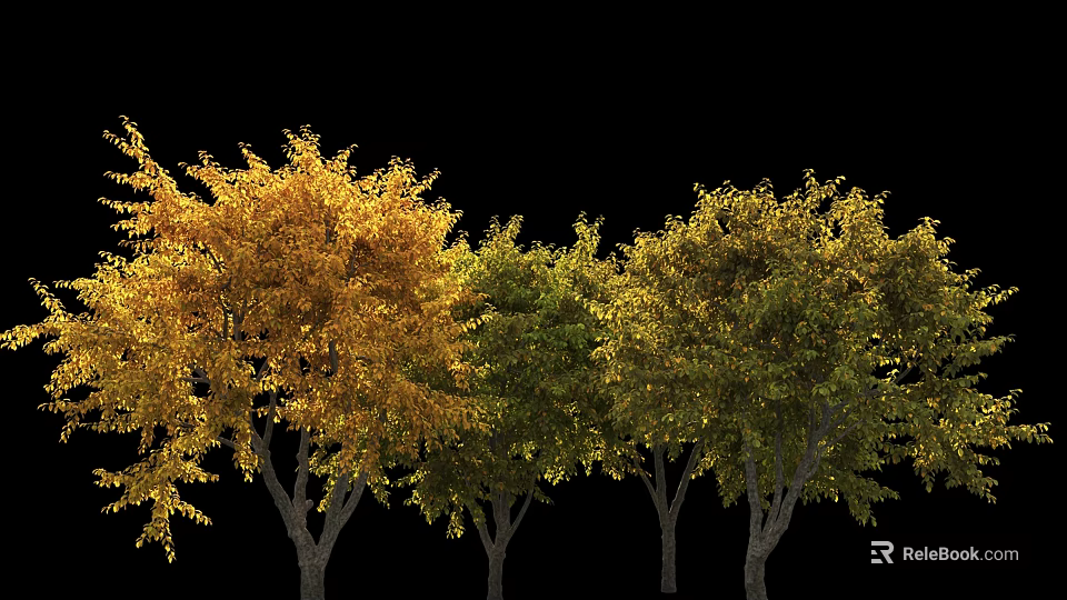 Row of Arbor with Yellow and Green Leaves on Black Background 3d model 