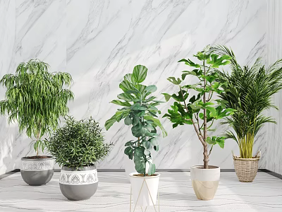 Various Bonsai Potted Plants In Stylish Decorative Pots On White Floor With Marble Wall Background 3d model